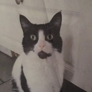 Meet your Posher, Colleen